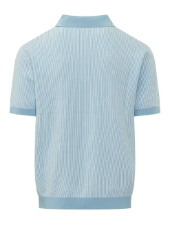 Pinstripe Polo Shirt