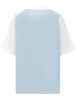 V-Neck T-Shirt with Graphic Panel